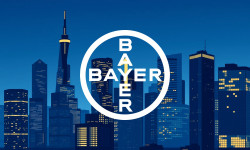 Beitragsbild zu Bayer Aktie: Doppel-Coup zündet!