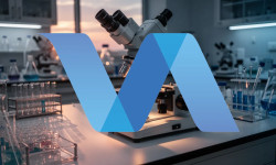 Beitragsbild zu Valneva Aktie: Dividendenpolitik beleuchtet