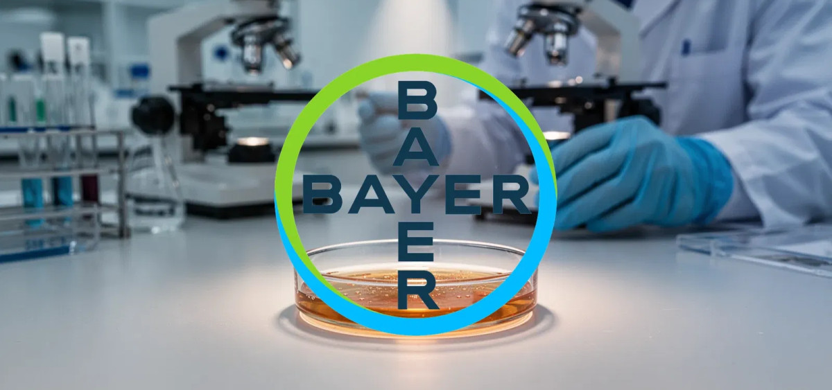 Beitragsbild zu Bayer Aktie: Richtungsentscheid naht