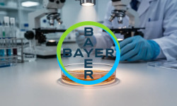 Beitragsbild zu Bayer Aktie: Richtungsentscheid naht