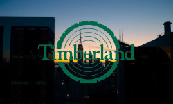 Beitragsbild zu Timberland Aktie: Investitionsstrategie überdenken?