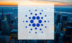Beitragsbild zu Cardano: Guter Investitionserfolg!