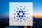 Cardano: Trendverläufe untersucht