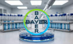 Beitragsbild zu Bayer Aktie: Terminrisiko