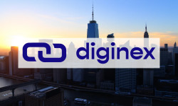 Beitragsbild zu Diginex Aktie: Gleichmäßiges Geschäftstempo