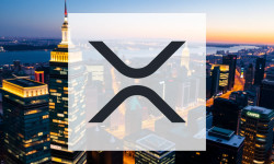 Beitragsbild zu XRP: Explosion!