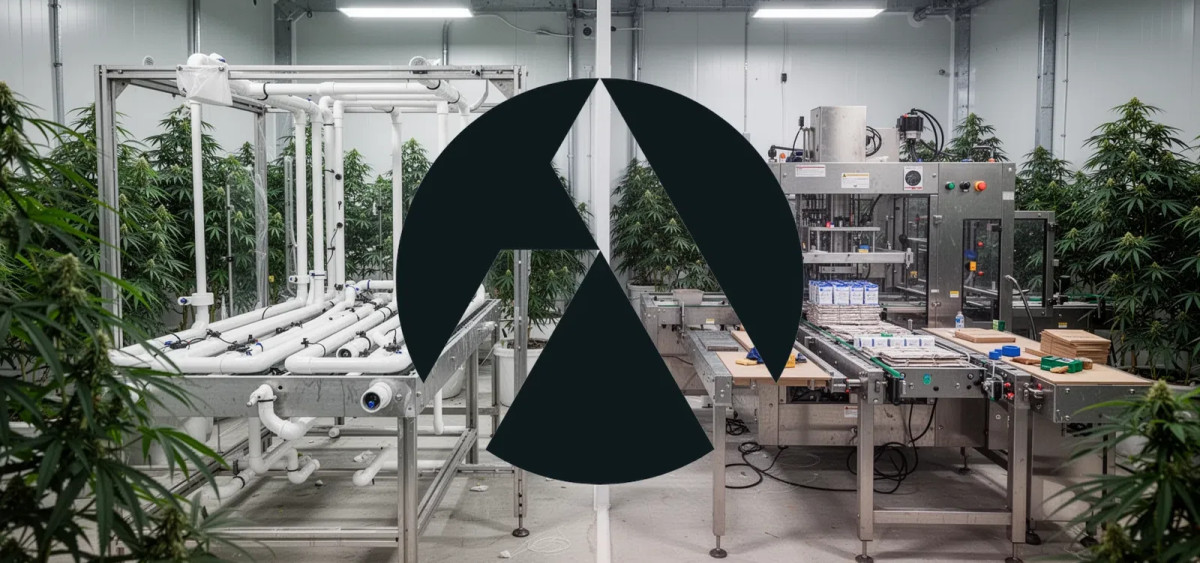 Beitragsbild zu Tilray Aktie: Informationslage präzisiert