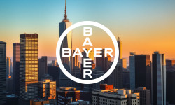 Beitragsbild zu Bayer Aktie: Rettungsanker Eylea?