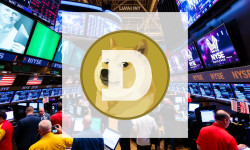 Beitragsbild zu Dogecoin: Extreme Fear