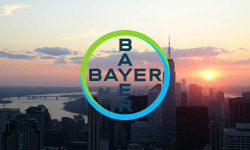 Beitragsbild zu Bayer-Aktie: Das ist Wahnsinn!