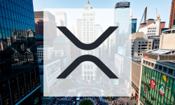 Beitragsbild zu XRP: Absturz oder Jahrhundertchance?