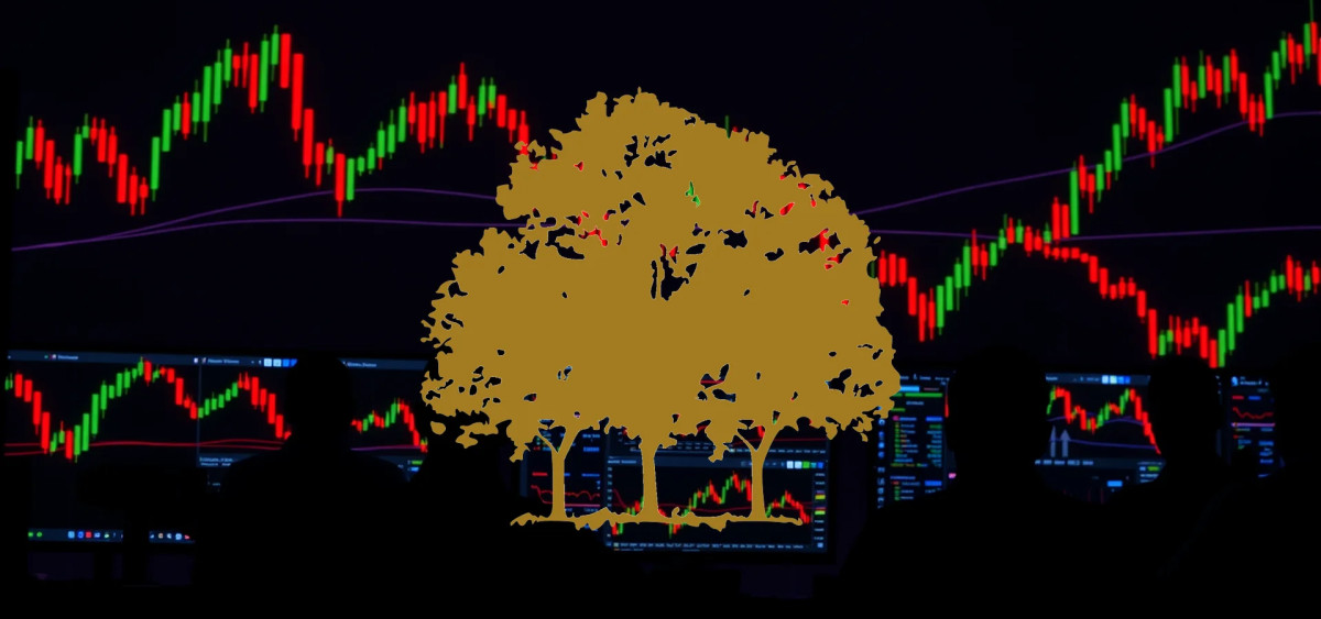 Beitragsbild zu Canopy Growth Aktie: Strategische Weichen