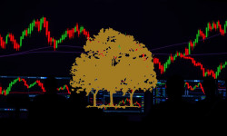 Beitragsbild zu Canopy Growth Aktie: Strategische Weichen
