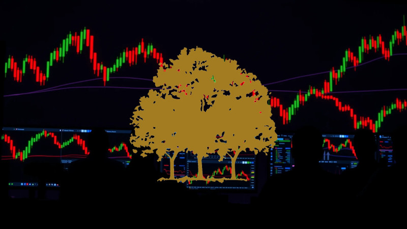 Beitragsbild zu Canopy Growth Aktie: Strategische Weichen