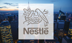 Beitragsbild zu Nestlé Aktie: Comeback gestartet?