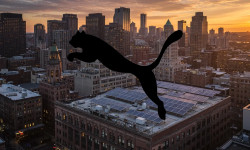 Beitragsbild zu Puma Aktie: Unausweichlich?