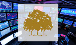 Beitragsbild zu Canopy Growth Aktie: Quorum-Challenge überschattet Sanierung