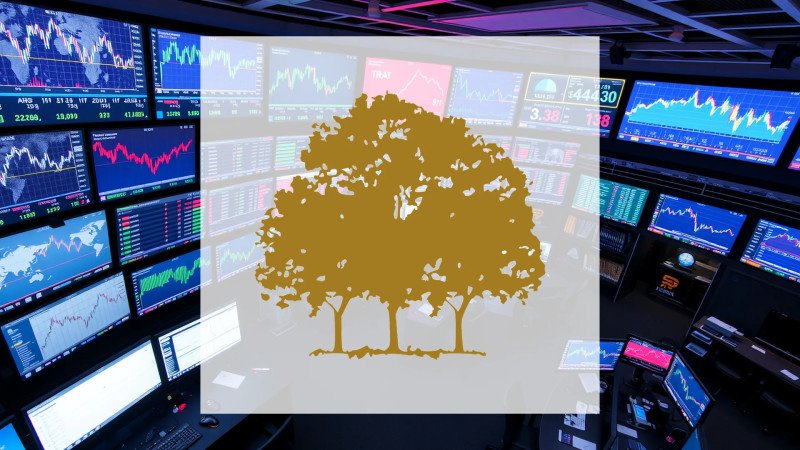 Beitragsbild zu Canopy Growth Aktie: Quorum-Challenge überschattet Sanierung