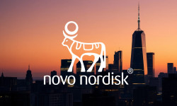 Beitragsbild zu Novo Nordisk-Aktie: Die Börsen irren sich!