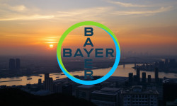 Beitragsbild zu Bayer Aktie: Rally dank US-Hoffnung
