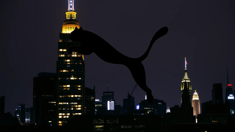 Beitragsbild zu Puma Aktie: Neue Großaktionäre