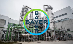Beitragsbild zu Bayer Aktie: Globale Baustellen