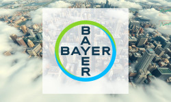 Beitragsbild zu Bayer Aktie: Milliarden-Durchbruch!