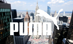 Beitragsbild zu Puma Aktie: 16-Euro-Schock!