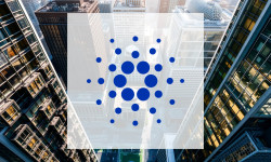 Beitragsbild zu Cardano: Guter Investitionserfolg!