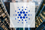 Cardano: Wale kaufen gegen den Trend