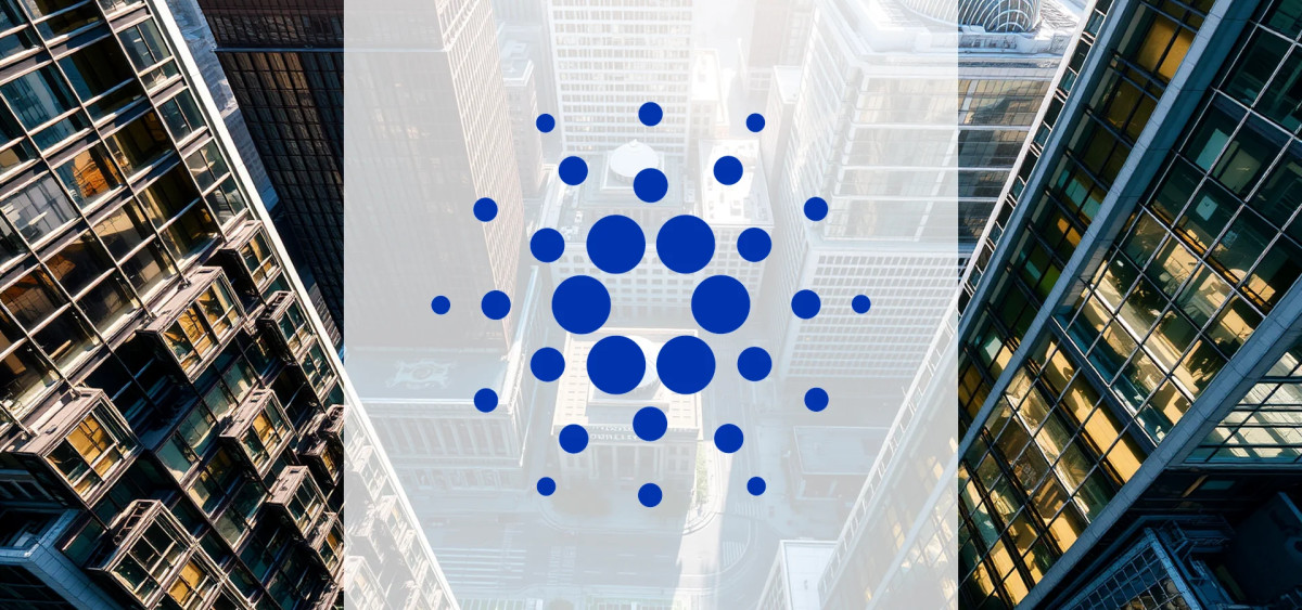 Beitragsbild zu Cardano: Wale kaufen gegen den Trend