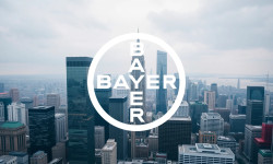 Beitragsbild zu Bayer Aktie: Pharma-Hammer zündet Rally!