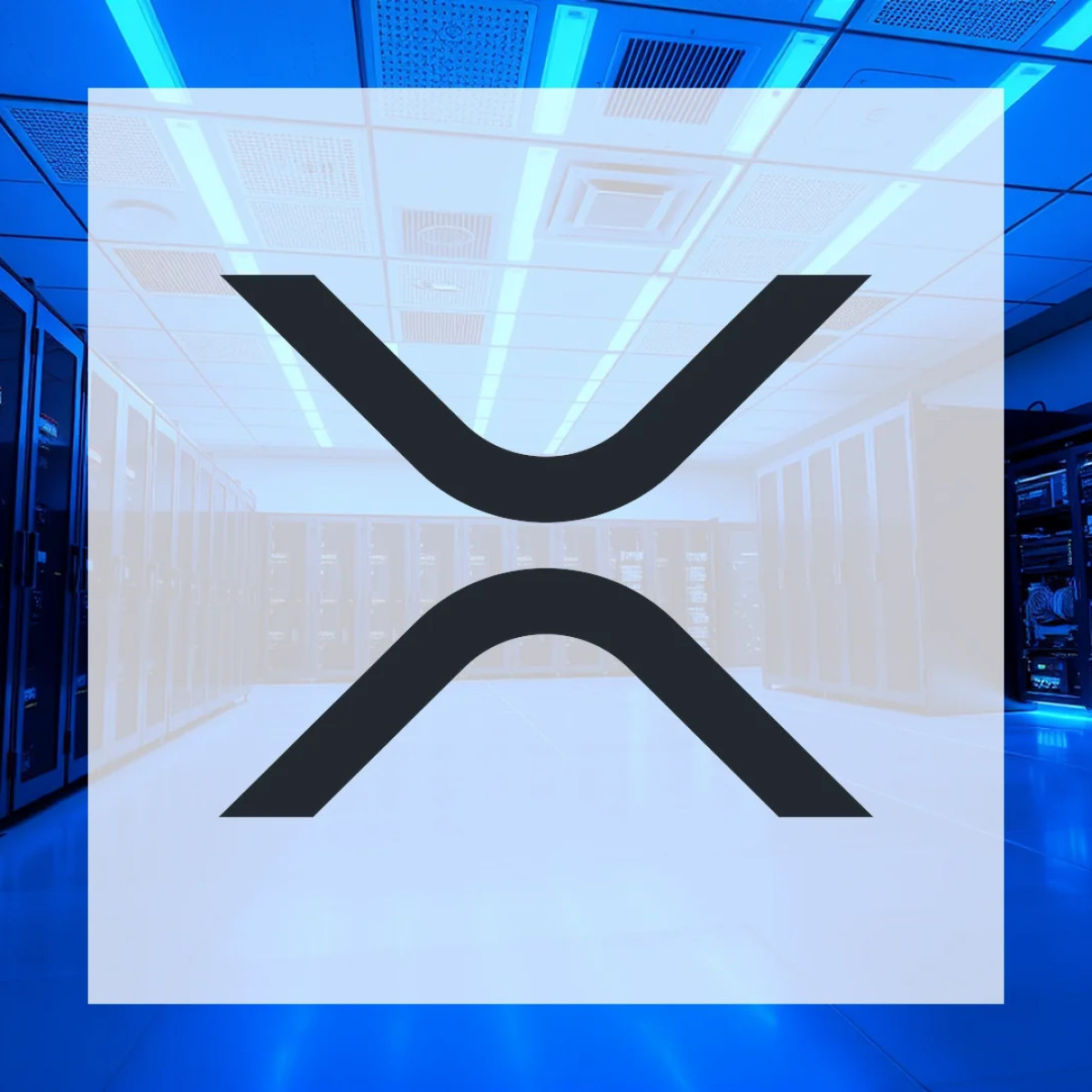 Börse Express - XRP: Unvorhersehbare Ereignisse