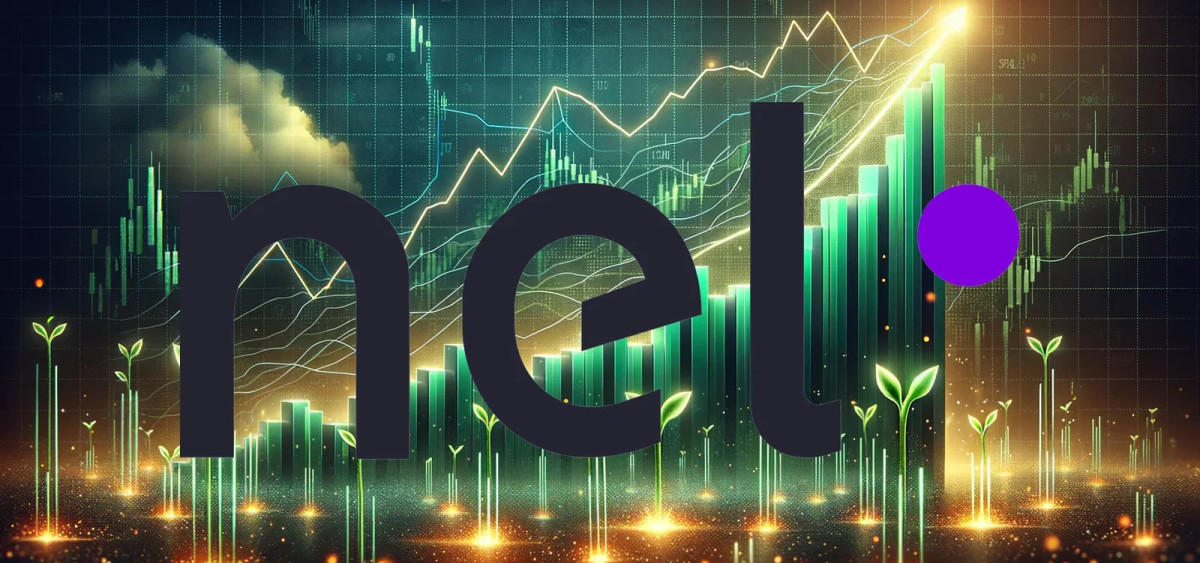 Beitragsbild zu Nel Asa-Aktie: Bizarre Sache!