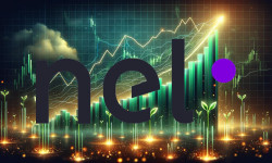 Beitragsbild zu Nel Asa-Aktie: Bizarre Sache!