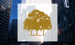 Beitragsbild zu Canopy Growth Aktie: Explosiver Aufschwung!