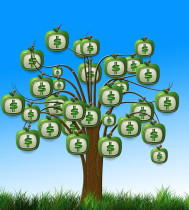 ESG Baum Umwelt Pixabay geralt
