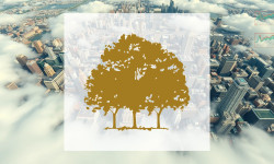 Beitragsbild zu Canopy Growth Aktie: Keine Entwarnung