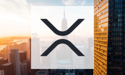 Beitragsbild zu XRP: Wichtige Marktbeobachtungen