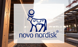 Beitragsbild zu Novo Nordisk Aktie: Anhaltende Probleme?
