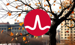 Beitragsbild zu Broadcom Aktie: AI-Auftragsschub