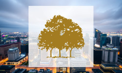 Beitragsbild zu Canopy Growth Aktie: Comeback im Anflug?