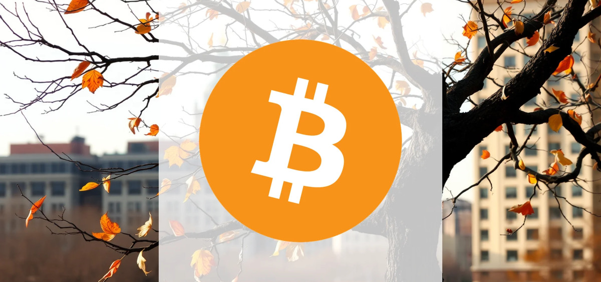 Beitragsbild zu Bitcoin: Vielversprechender Jahresausblick!