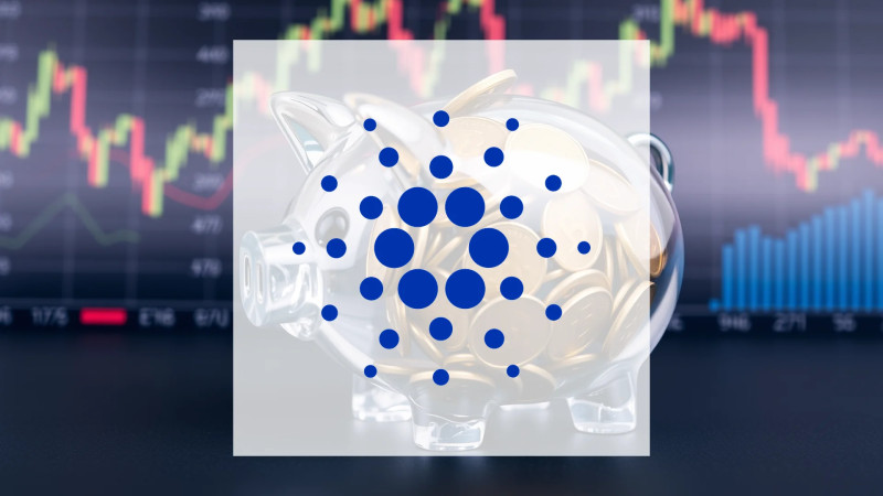 Beitragsbild zu Cardano: Extremer Kontrast