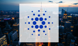 Beitragsbild zu Cardano: Walverlust erschüttert DeFi!