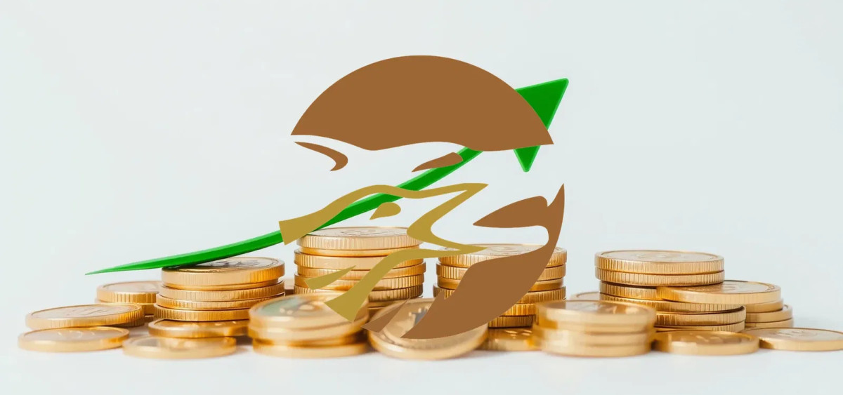 Beitragsbild zu Western Copper and Gold Aktie: Finanzierung gesichert