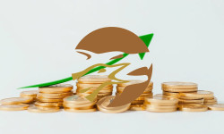 Beitragsbild zu Western Copper and Gold Aktie: Finanzierung gesichert