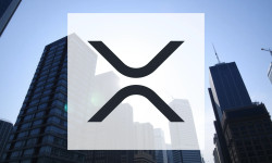Beitragsbild zu XRP: Trotz Rekordwerten unter Druck