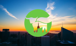 Beitragsbild zu Beyond Meat Aktie: Vorsicht, Falle!