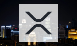 Beitragsbild zu XRP: Starkes Umsatzwachstum!